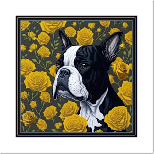 Boston Terrier yellow roses 2 Posters and Art